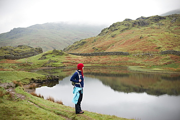 A woman looks out over Alcock Tarn near Grasmere, Lake District National Park, Cumbria, England, United Kingdom, Europe