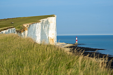 The lighthouse at Beachy Head, South Downs National Park, East Sussex, England, United Kingdom, Europe