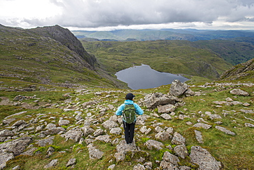 Walking in Great Langdale with a view of Stickle Tarn in the distance, Lake District National Park, Cumbria, England, United Kingdom, Europe