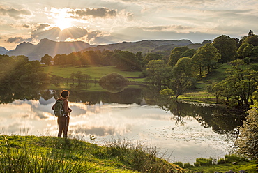 A woman looks out over Loughrigg Tarn near Ambleside, Lake District National Park, Cumbria, England, United Kingdom, Europe