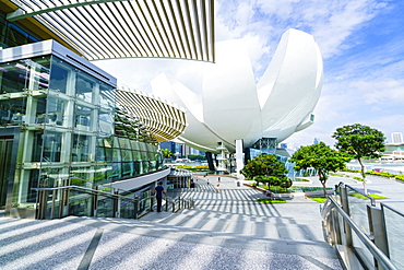 The Shoppes at Marina Bay Sands and ArtScience Museum, Marina Bay, Singapore, Southeast Asia, Asia