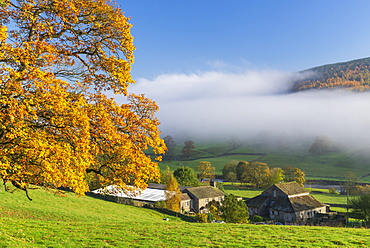 Mist around Simons Seat and along the River Wharfe in Wharfedale, The Yorkshire Dales, Yorkshire, England, United Kingdom, Europe