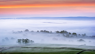 Mist rising over East Halton and Embsay at sunrise, in Lower Wharfedale, North Yorkshire, Yorkshire, England, United Kingdom, Europe