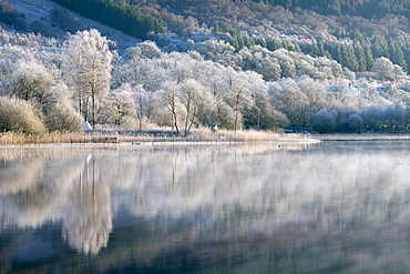 Loch Ard partially frozen over and a hoar frost around Aberfoyle in the Loch Lomond and the Trossachs National Park in mid-winter, Stirling District, Scotland, United Kingdom, Europe