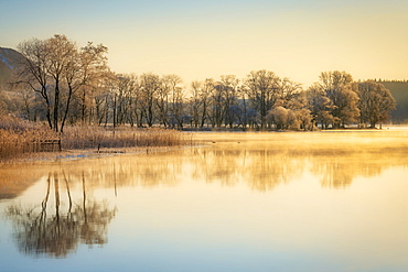 Early morning mist clearing and sunlight over Loch Ard, Kinlochard, Aberfoyle, Scotland, United Kingdom, Europe