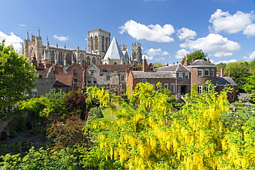 York Minster from the Bar Walls, York, Yorkshire, England, United Kingdom, Europe