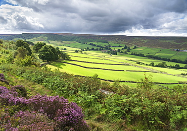 Late summer sunlight on Stonebeck Gate Farm, Little Fryup Dale, The North Yorkshire Moors National Park, Yorkshire, England, United Kingdom, Europe