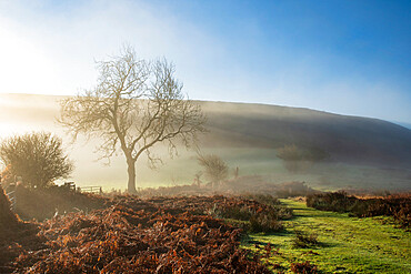 Mid-winter sunlight, and mist around Hutton Le Hole moorland village in Farndale, North Yorkshire, Yorkshire, England, United Kingdom, Europe