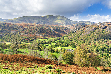 Goat Crag and Coniston Moor from Tarn Hows near Coniston in south eastern Lake District, Lake District National Park, UNESCO World Heritage Site, Cumbria, England, United Kingdom, Europe