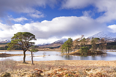 Loch Tulla, Bridge of Orchy, Glencoe, Argyll and Bute, Scotland, United Kingdom, Europe