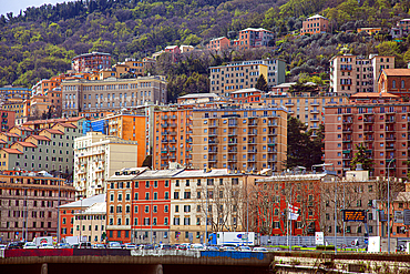 A view of the city, Genoa, Liguria, Italy, Europe