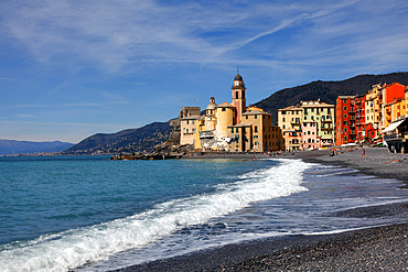 Camogli, a fishing village and tourist resort located on the west side of the peninsula of Portofino, Camogli, Liguria, Italy, Europe