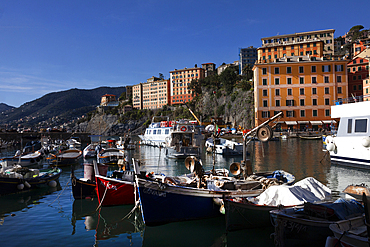 Camogli, a fishing village and tourist resort located on the west side of the peninsula of Portofino, Camogli, Liguria, Italy, Europe