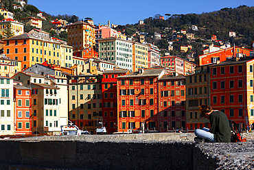 Camogli, a fishing village and tourist resort located on the west side of the peninsula of Portofino, Camogli, Liguria, Italy, Europe