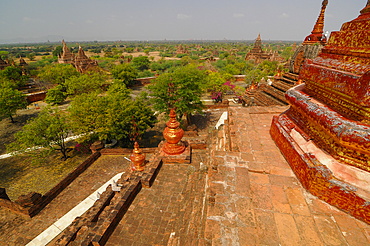 Elevated view of Bagan temples, Bagan (Pagan), UNESCO World Heritage Site, Myanmar, Asia