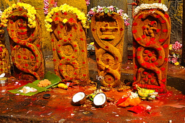 Vishnu shrines with offering placed, Tiruchirappali, Tamil Nadu, India, Asia