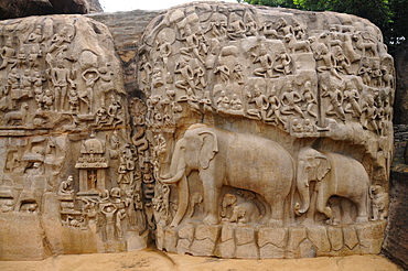 Bas relief of Descent of the Ganga River, Mahabalipuram, UNESCO World Heritage Site, Tamil Nadu, India, Asia