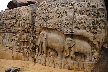 Bas relief of Descent of the Ganga River, Mahabalipuram, UNESCO World Heritage Site, Tamil Nadu, India, Asia