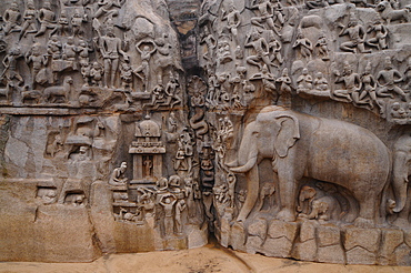 Bas relief of Descent of the Ganga River, Mahabalipuram, UNESCO World Heritage Site, Tamil Nadu, India, Asia