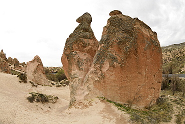 Camel shaped rock formation, Devrent Valley, Cappadocia, Turkey, Asia Minor, Asia