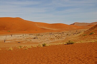 Dead Vlei, Sossusvlei, Namib Desert, Namibia, Africa