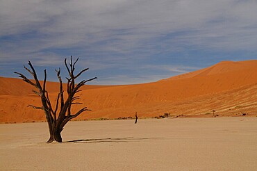 Dead Vlei, Sossusvlei, Namib Desert, Namibia, Africa