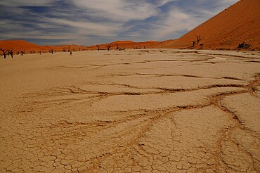 Dead Vlei, Sossusvlei, Namib Desert, Namibia, Africa