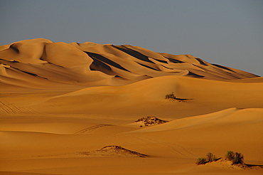 Picturesque orange Dunes of Ubari, Sahara Desert, Libya, North Africa, Africa