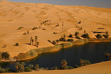 Picturesque orange Dunes of Ubari Oasis, Sahara Desert, Libya, North Africa, Africa