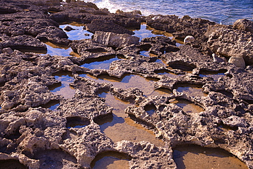 Rocky coast in Bugibba, Malta, Mediterranean, Europe