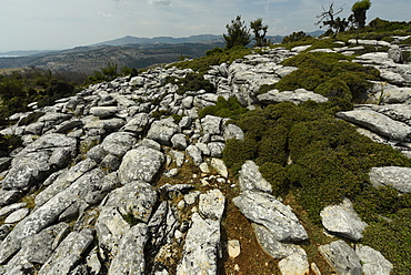 Marble landscape of Thassos, Greek Islands, Greece, Europe