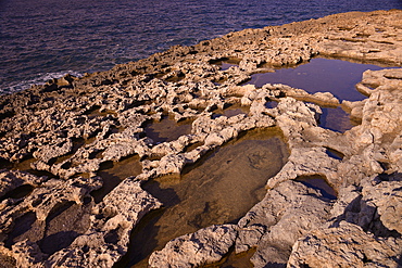 Rocky coast in Bugibba, Malta, Mediterranean, Europe