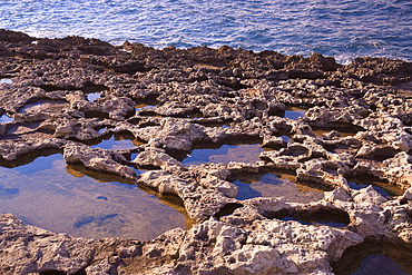 Rocky coast in Bugibba, Malta, Mediterranean, Europe