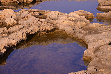 Rocky coast in Bugibba, Malta, Mediterranean, Europe