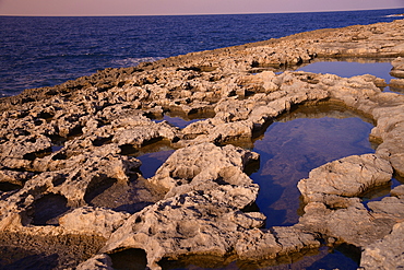 Rocky coast in Bugibba, Malta, Mediterranean, Europe