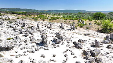 Aerial view of Pobiti Kamani (Stone Forest), 50 mln year old rock formation, Bulgaria