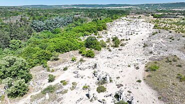Aerial view of Pobiti Kamani (Stone Forest), 50 mln year old rock formation, Bulgaria