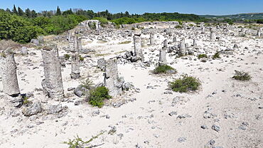 Aerial view of Pobiti Kamani (Stone Forest), 50 mln year old rock formation, Bulgaria