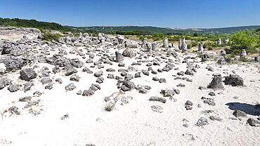 Aerial view of Pobiti Kamani (Stone Forest), 50 mln year old rock formation, Bulgaria