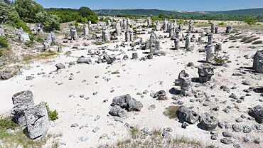 Aerial view of Pobiti Kamani (Stone Forest), 50 mln year old rock formation, Bulgaria