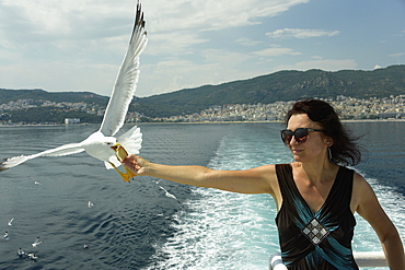 Woman feeding seagulls on a ferry from Kavala to Thassos, North Aegean Sea, Greek Islands, Greece, Europe