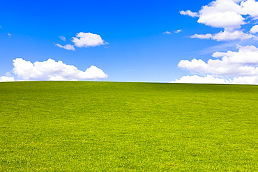 Green field in Perthshire, Scotland, United Kingdom, Europe