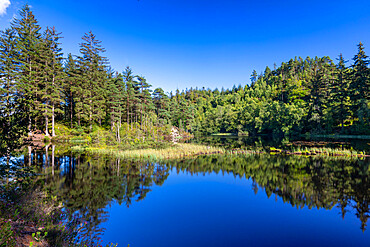 Loch Ard, Loch Lomond and Trossachs National Park, Scotland, United Kingdom, Europe