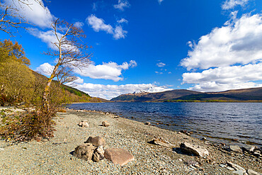 Loch Lomond and Ben Lomond, Loch Lomond and Trossachs National Park, Scotland, United Kingdom, Europe