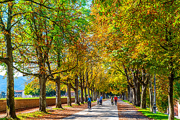 Path along the city walls (Le Mura), Lucca, Tuscany, Italy, Europe