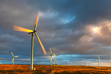 Wind turbines at sunset with stormy sky, Whitelee Windfarm, East Renfrewshire, Scotland, United Kingdom, Europe