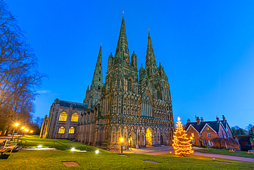 Lichfield Cathedral, Christmas tree, Lichfield, Staffordshire, England, United Kingdom, Europe