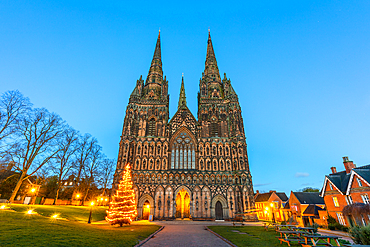 Lichfield Cathedral, Christmas tree, Lichfield, Staffordshire, England, United Kingdom, Europe