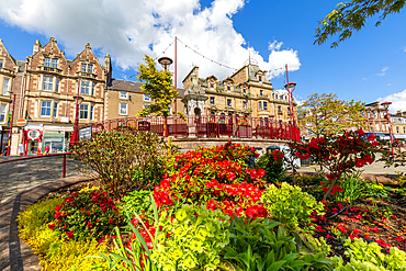 Flowers at James Square, Crieff, Perthshire, Scotland, United Kingdom, Europe