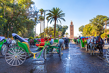 Horses and carriages, Koutoubia Mosque Minaret, UNESCO World Heritage Site, Marrakesh, (Marrakech), Morocco, Africa